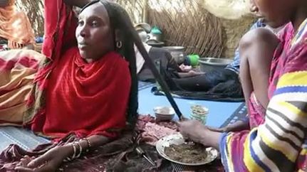 3 Chebe GOLD Herbal ReGrowth Hair Masks